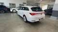 SEAT Leon SP 1.5 TSI 110kW SS Xcellence Go M - thumbnail 7