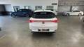 SEAT Leon SP 1.5 TSI 110kW SS Xcellence Go M - thumbnail 9