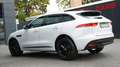 Jaguar F-Pace F-PACE R-SPORT*E-PERFORMANCE*BLACK PACK*VIRTUAL* Blanc - thumbnail 11