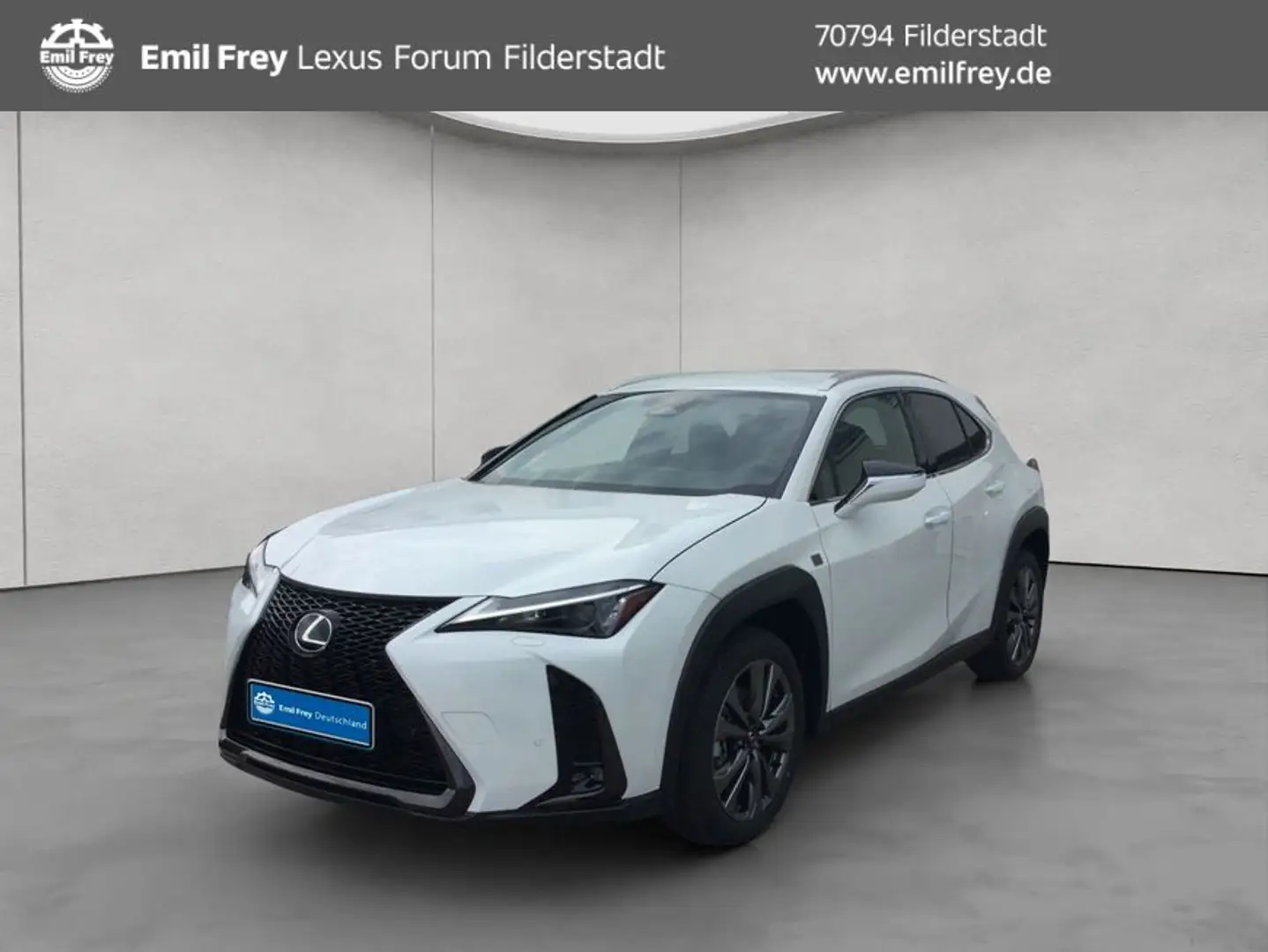 Lexus 300h F-Sport Design Weiß - 1