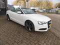 Audi A5 Cabriolet 3.0 TDI quattro Pro Line S Open Days Air Wit - thumbnail 5