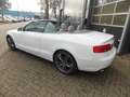 Audi A5 Cabriolet 3.0 TDI quattro Pro Line S Open Days Air Wit - thumbnail 8