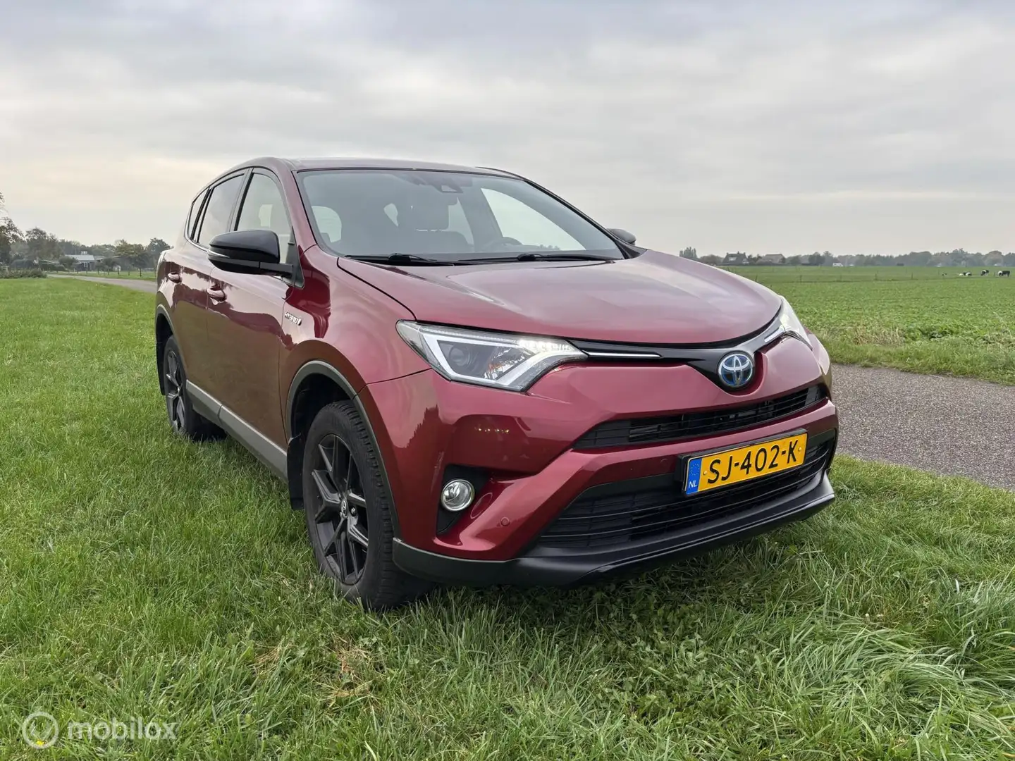 Toyota RAV 4 2.5 Hybrid Black Edition Navi Camera Airco APK Rood - 2