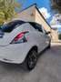 Lancia Ypsilon Ypsilon 1.3 mjt Platinum s Bianco - thumbnail 8