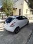 Lancia Ypsilon Ypsilon 1.3 mjt Platinum s Bianco - thumbnail 11