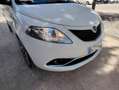 Lancia Ypsilon Ypsilon 1.3 mjt Platinum s Bianco - thumbnail 5