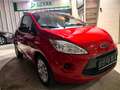 Ford Ka/Ka+ Ambiente Zahnriemen+Wp neu Rot - thumbnail 2