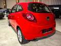 Ford Ka/Ka+ Ambiente Zahnriemen+Wp neu Rot - thumbnail 4