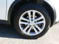 Nissan Juke Juke 1.5 dci Tekna 110cv OK Neopatentati Blanco - thumbnail 14