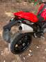 Ducati Monster 796 Rouge - thumbnail 7