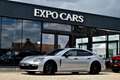 Porsche Panamera Panamera 4 E-Hybrid Executive*AD CRUISE*SOFT CLOSE Grey - thumbnail 5