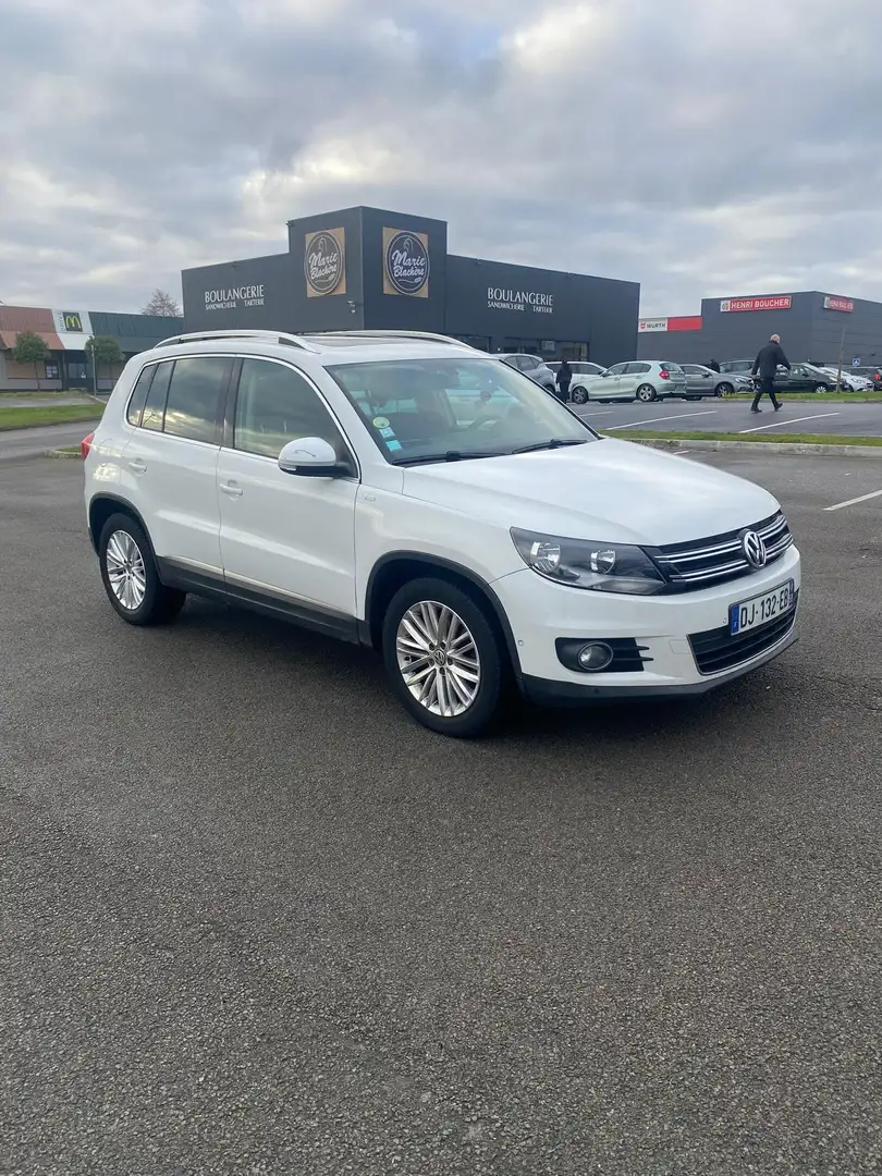 Volkswagen Tiguan 2.0 TDI 110 FAP BlueMotion Technology Cup - 1