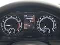 Skoda Kamiq 1.0 TSI Ambition LED LM CarPlay Noir - thumbnail 10
