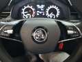 Skoda Kamiq 1.0 TSI Ambition LED LM CarPlay Noir - thumbnail 20