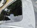 Skoda Superb Style 2.0 TDI DSG Panoramadach Grau - thumbnail 5