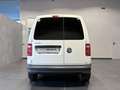 Volkswagen Caddy 2.0 tdi 102cv van coibentato Lauri Business E6 Bianco - thumbnail 8