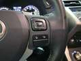 Lexus NX 300 300h Business Navigation 2WD Weiß - thumbnail 13