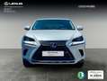 Lexus NX 300 300h Business Navigation 2WD Blanco - thumbnail 5