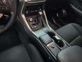 Lexus NX 300 300h Business Navigation 2WD Weiß - thumbnail 20