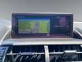 Lexus NX 300 300h Business Navigation 2WD Blanco - thumbnail 16