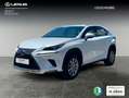 Lexus NX 300 300h Business Navigation 2WD Blanco - thumbnail 1