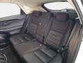 Lexus NX 300 300h Business Navigation 2WD Weiß - thumbnail 9