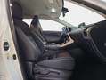 Lexus NX 300 300h Business Navigation 2WD Weiß - thumbnail 7