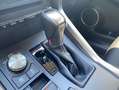 Lexus NX 300 300h Business Navigation 2WD Blanco - thumbnail 19