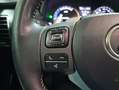 Lexus NX 300 300h Business Navigation 2WD Weiß - thumbnail 12