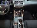 Lexus NX 300 300h Business Navigation 2WD Weiß - thumbnail 10