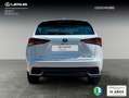 Lexus NX 300 300h Business Navigation 2WD Blanco - thumbnail 4