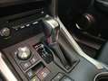 Lexus NX 300 300h Business Navigation 2WD Weiß - thumbnail 21