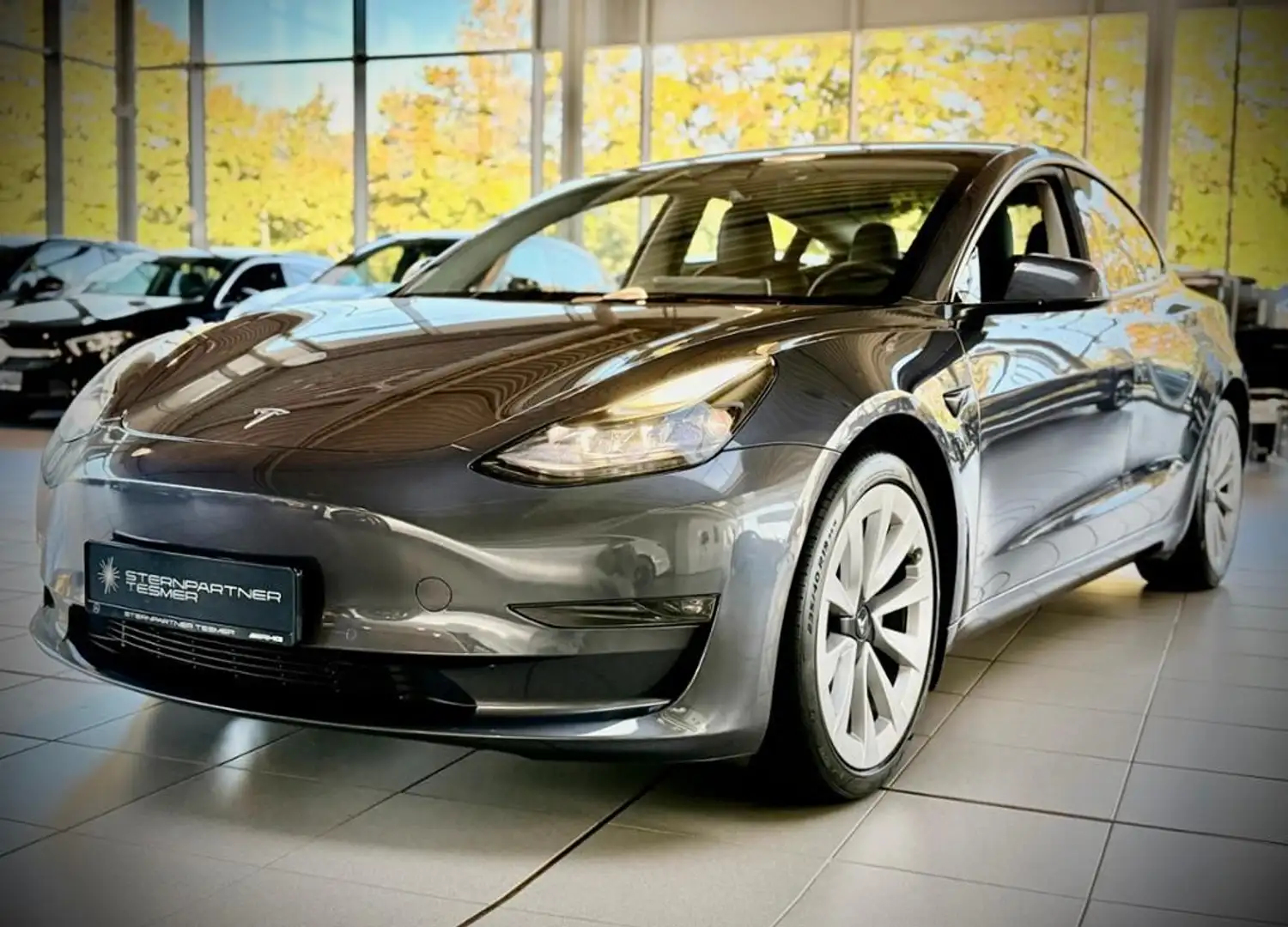 Tesla Model 3 Performance Dual AWD PANO+KAMERA+NAVI Grau - 2