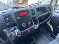 Fiat DUCATO 30 CH1 2.3 MJT 120CV 59.000KM 15900+IVA Bianco - thumbnail 13