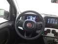 Fiat Panda Hybrid Pandina Cross 1.0 Mild Hybrid 70CV Vert - thumbnail 11