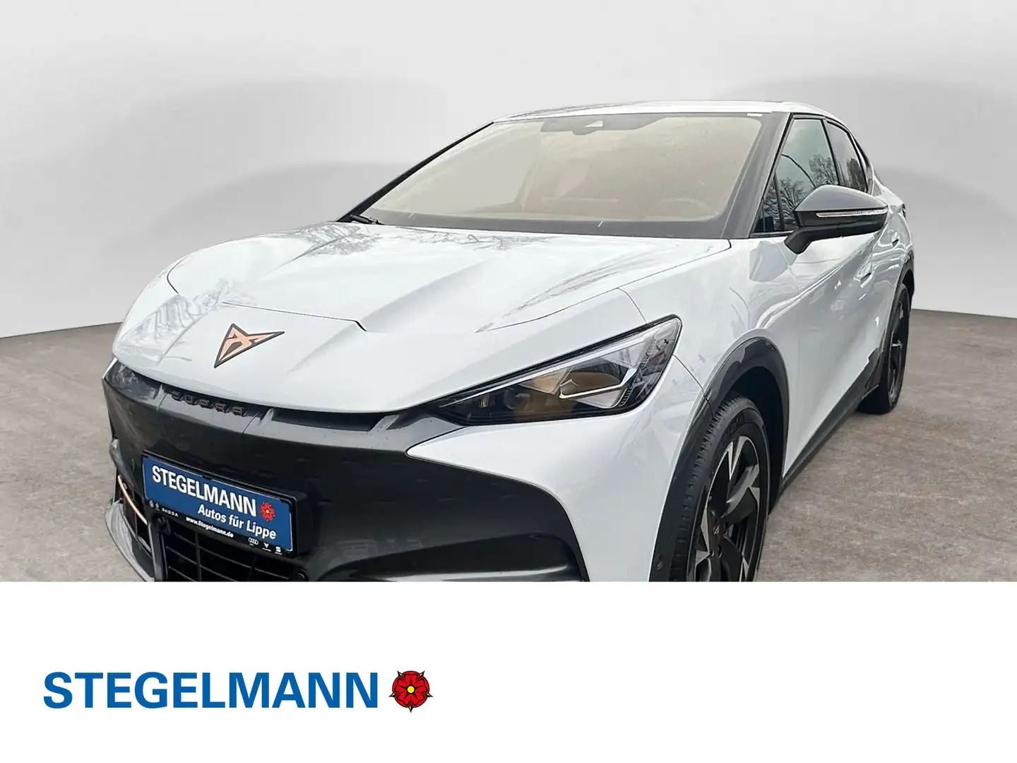 CUPRA Tavascan 210kW/77kWh Endurance *LED*Navi*Kamera* Bílá - 1