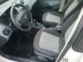 SEAT Ibiza !! Pickerl neu !! Weiß - thumbnail 9