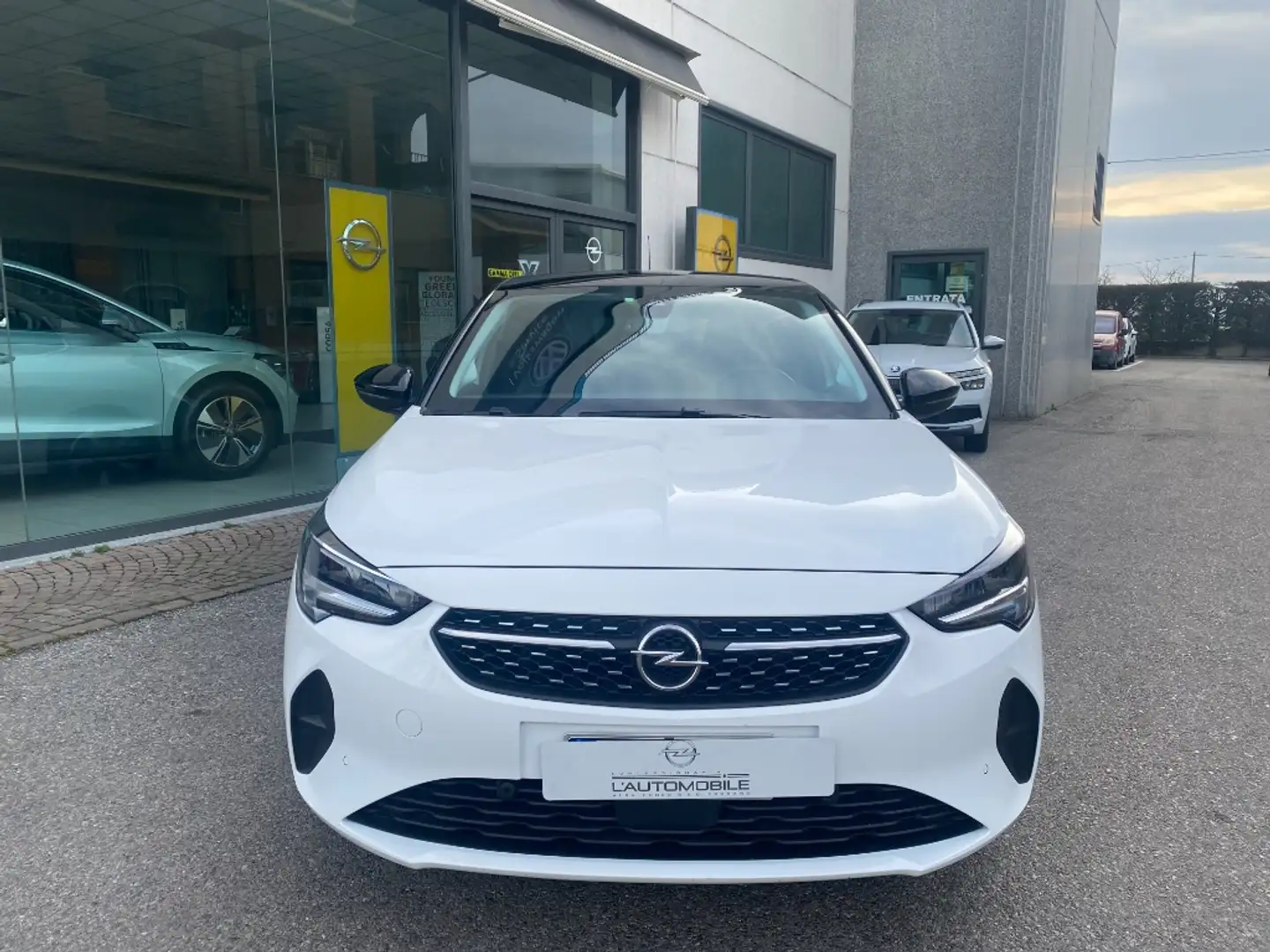 Opel Corsa-e 5 porte Elegance Bianco - 2