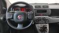 Fiat Panda Panda 1.0 firefly hybrid s&s 70cv 5 POSTI* PROMO Grau - thumbnail 11