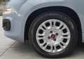 Fiat Panda Panda 1.0 firefly hybrid s&s 70cv 5 POSTI* PROMO Grau - thumbnail 14