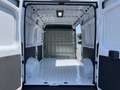 Fiat Ducato 35 140 Multijet L2 AHK/DAB/RFK -38%* Weiß - thumbnail 21
