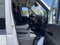 Fiat Ducato 35 140 Multijet L2 AHK/DAB/RFK -38%* Weiß - thumbnail 18