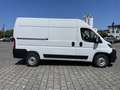 Fiat Ducato 35 140 Multijet L2 AHK/DAB/RFK -38%* Weiß - thumbnail 9
