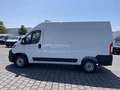 Fiat Ducato 35 140 Multijet L2 AHK/DAB/RFK -38%* Weiß - thumbnail 24
