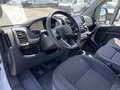 Fiat Ducato 35 140 Multijet L2 AHK/DAB/RFK -38%* Weiß - thumbnail 17