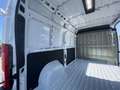 Fiat Ducato 35 140 Multijet L2 AHK/DAB/RFK -38%* Weiß - thumbnail 22