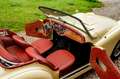 Triumph TR3 A Gelb - thumbnail 11