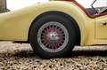 Triumph TR3 A Gelb - thumbnail 8