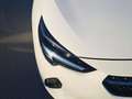 Opel Corsa 1.2T XHL S/S Elegance 100 Blanco - thumbnail 13