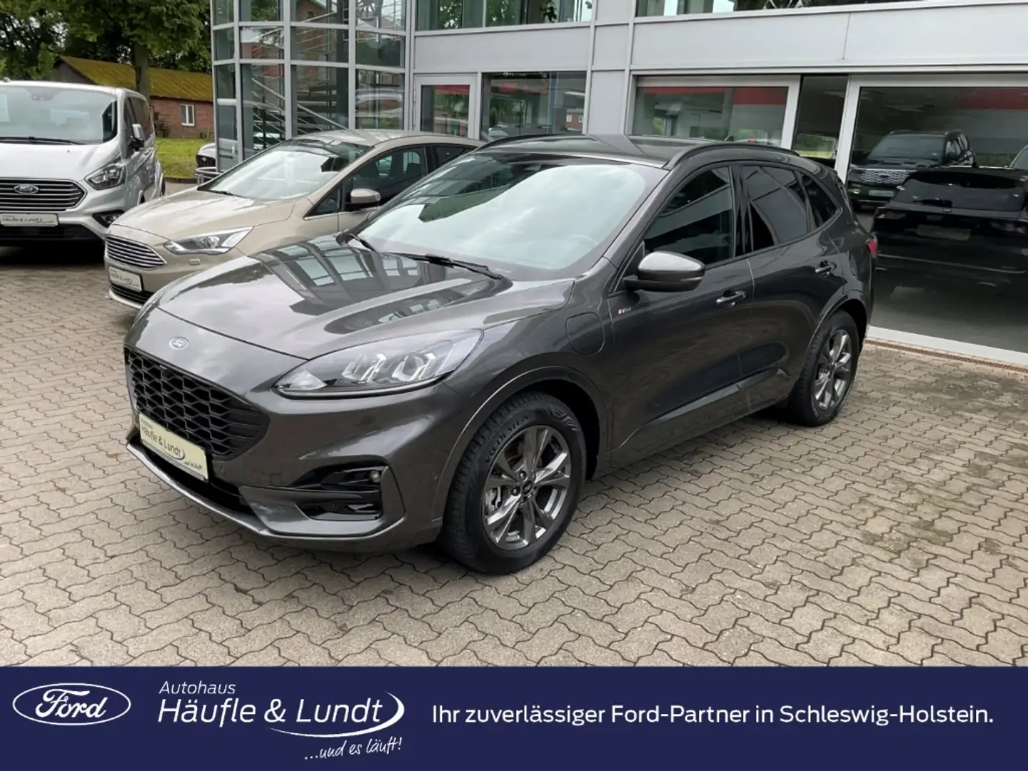 Ford Kuga Plug-In Hybrid ST-Line Allwetterreifen Grijs - 1